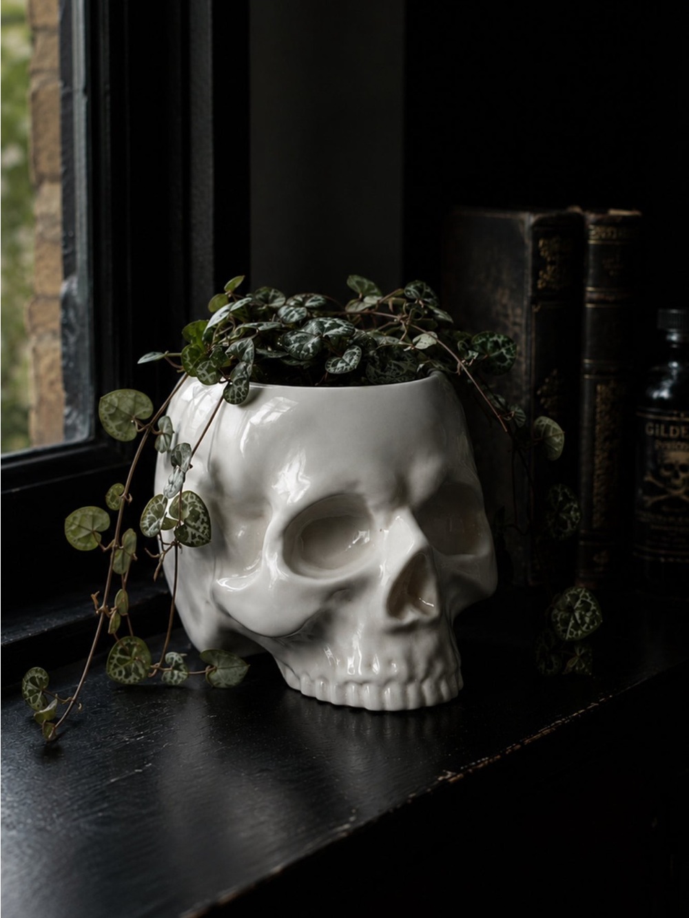Ceramic White Skull KILLSTAR Planter - Decorative Home Accent